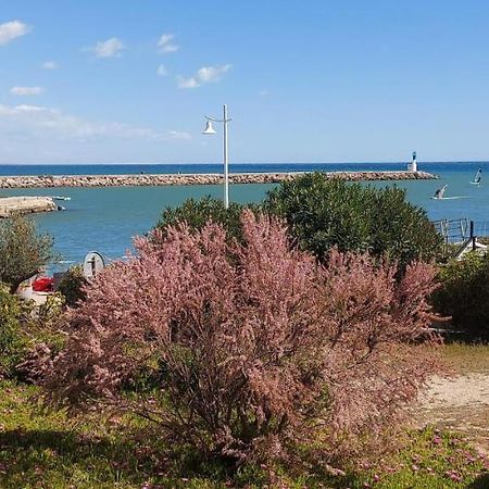 T3 Carnon, 1Ere Ligne 50M Plage Terrasse Parking Mauguio Bagian luar foto