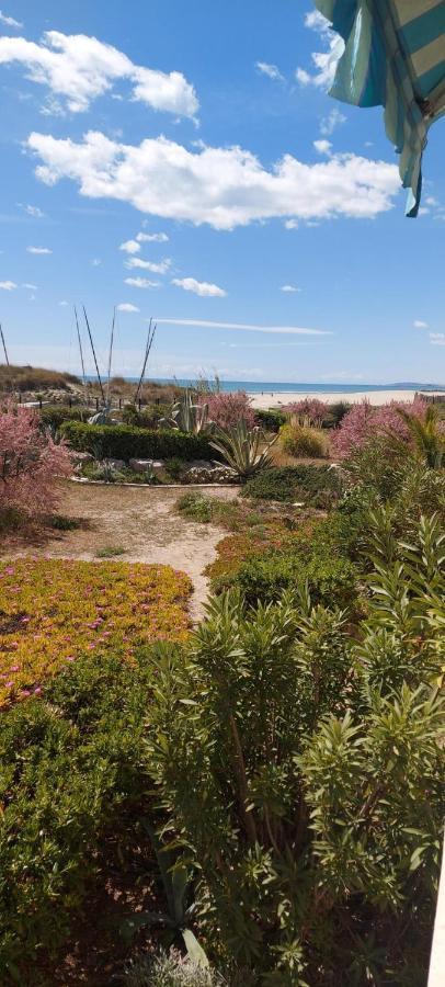 T3 Carnon, 1Ere Ligne 50M Plage Terrasse Parking Mauguio Bagian luar foto